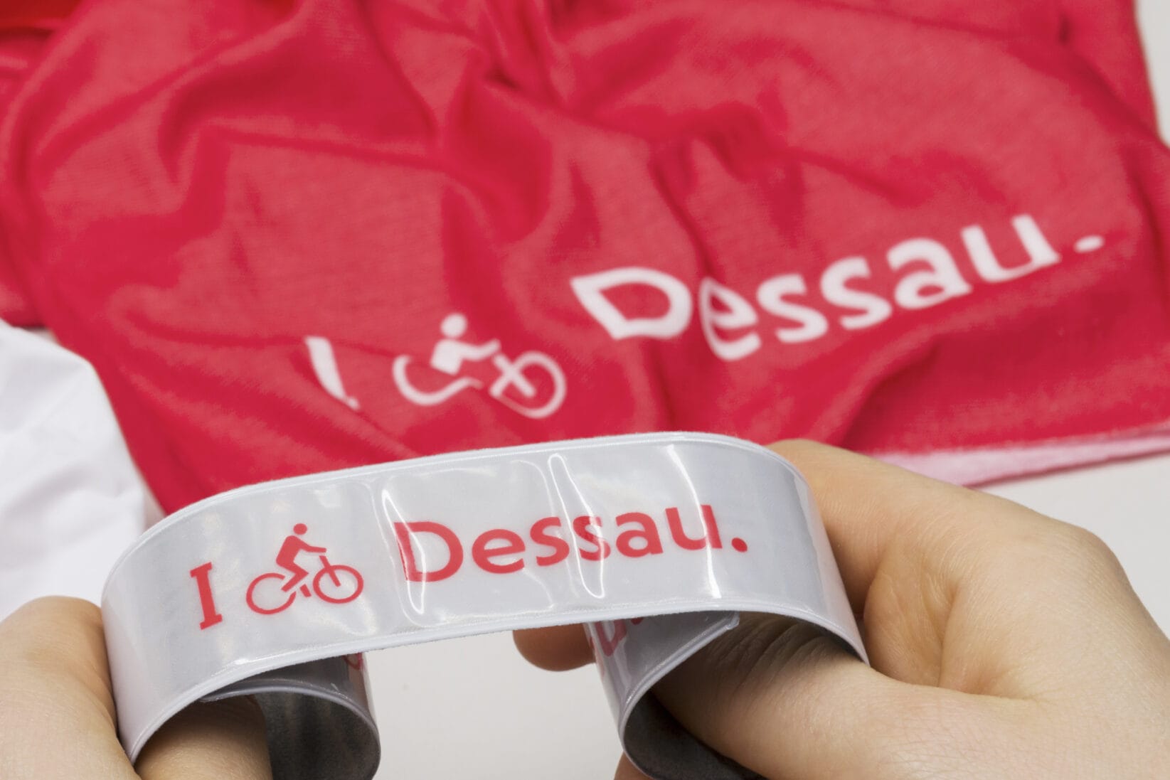 Dessau Merchandise Fahrradzubehör