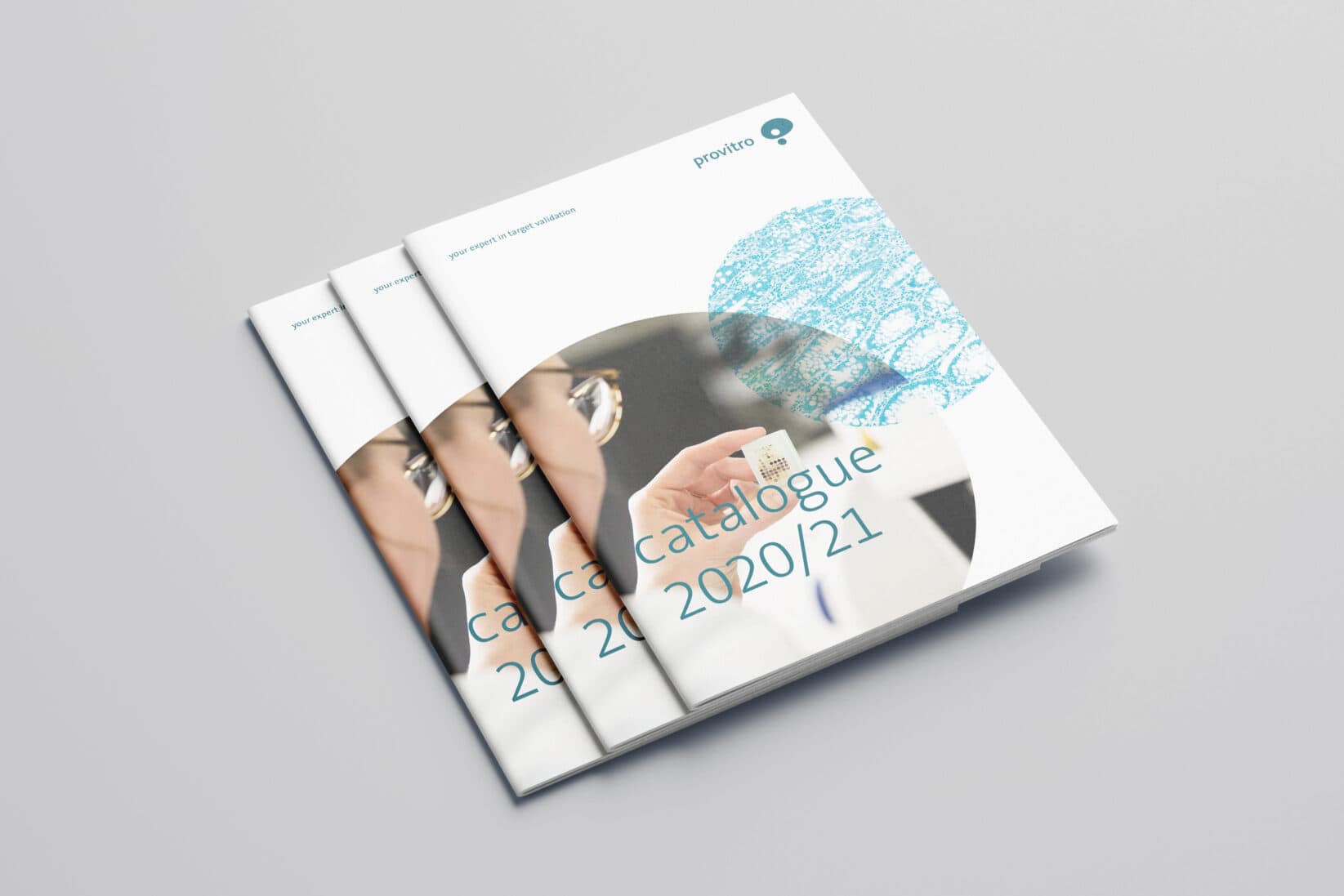 provitro Corporate Design Katalog 2020/21