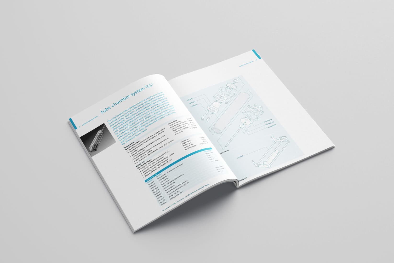 provitro Corporate Design Katalog Innenseite Grafik