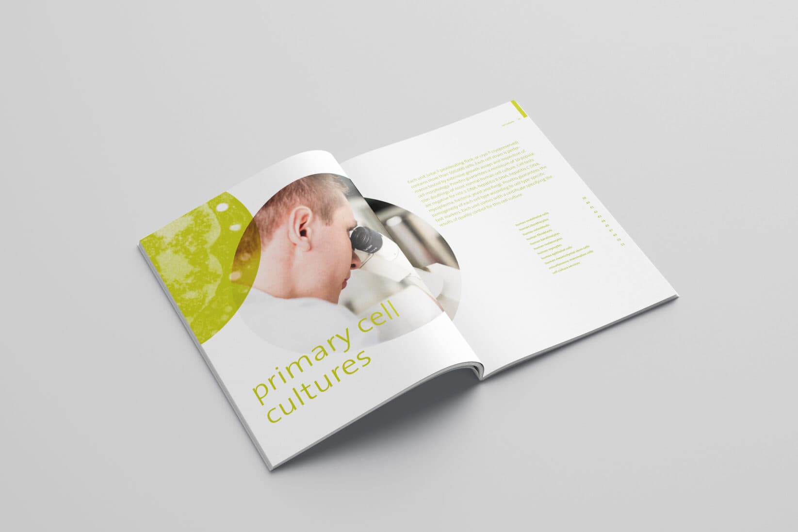 provitro Corporate Design Katalog Innenseite