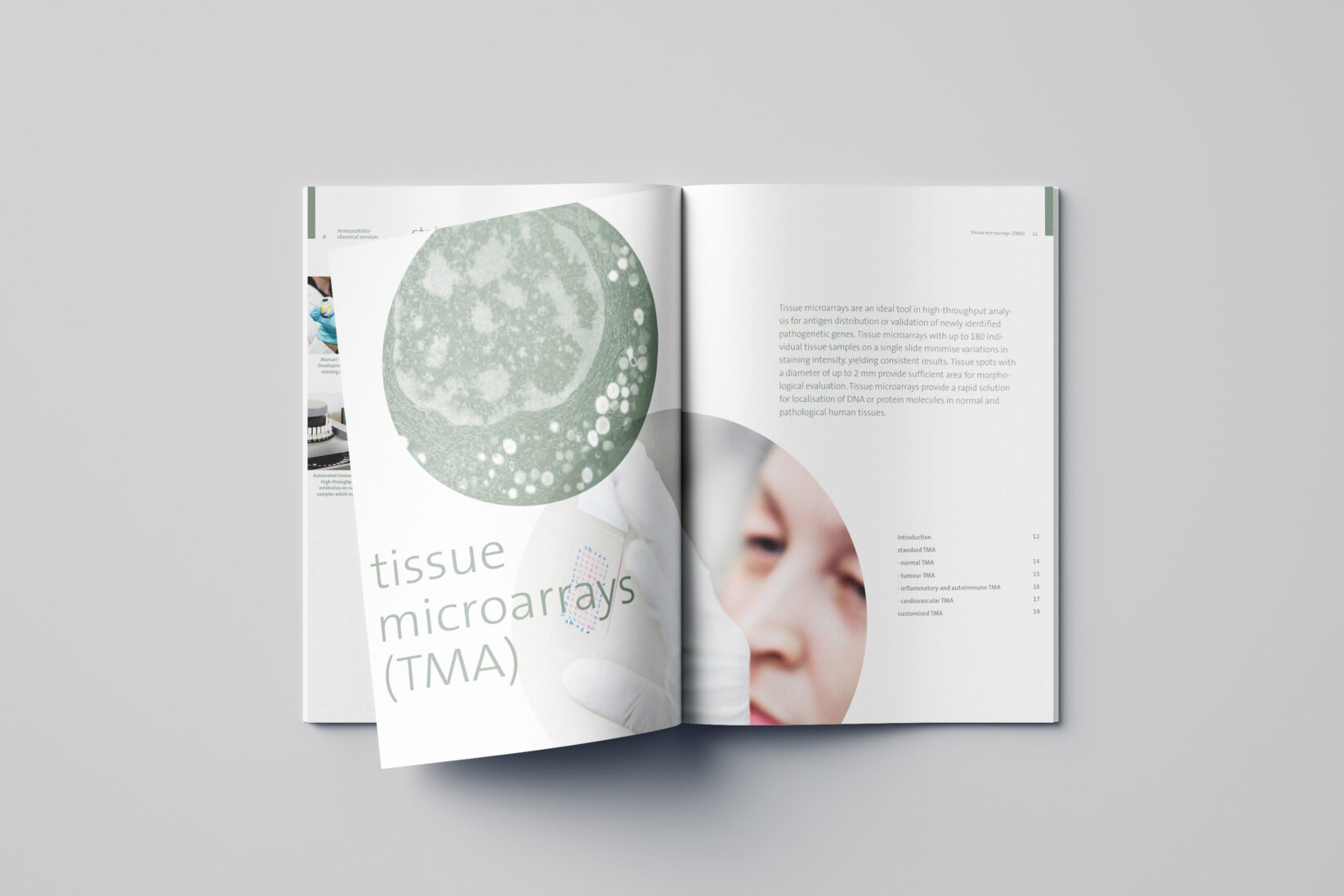 provitro Corporate Design Katalog Innenseite TMA